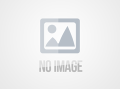 【杏好遇见】早春伊犁轻摄影8日游